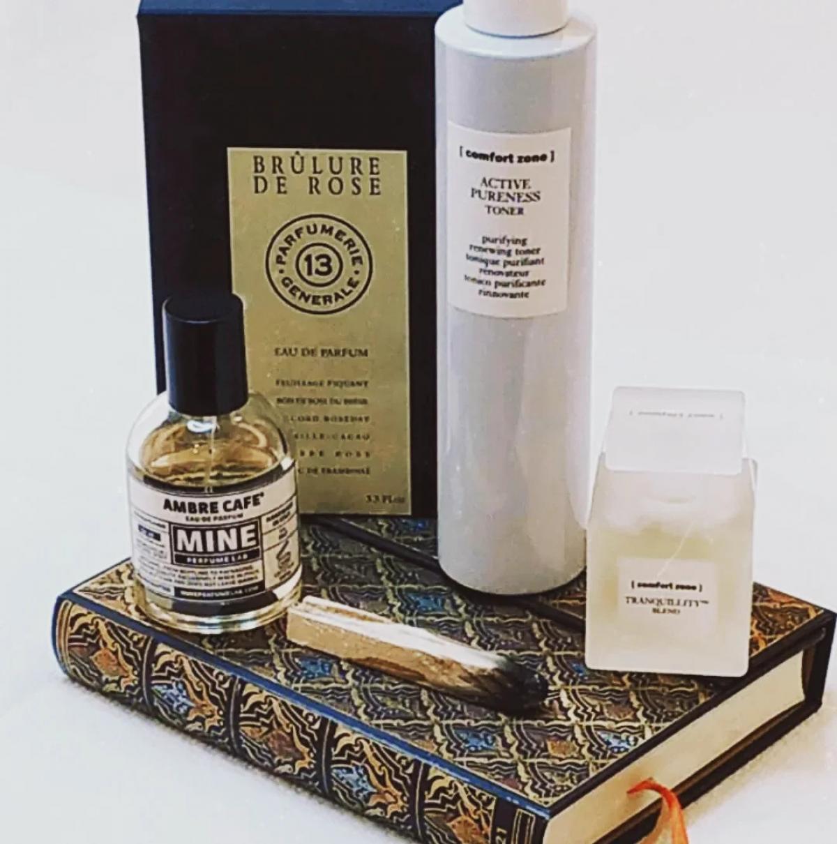 عطر ادکلن برویلور د رز ۱۳ پیر گیوم پاریس - Brulure de Rose 13 Pierre Guillaume Paris - بررسی، قیمت و خرید