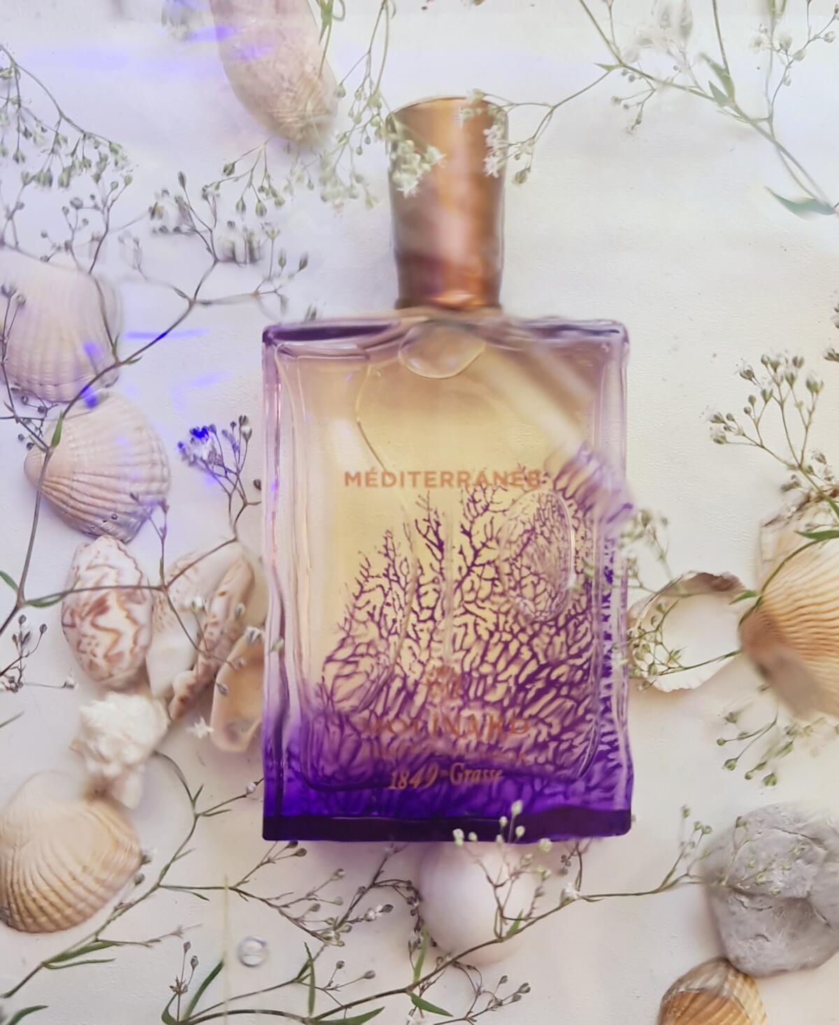 عطر ادکلن مدیترانه مولینارد - Méditerranée Molinard - بررسی، قیمت و خرید