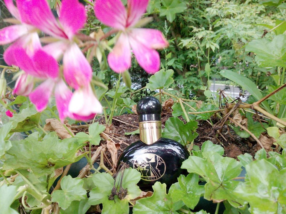 عطر ادکلن لو د کاسانکا منارد - L'eau de Kasaneka Menard - بررسی، قیمت و خرید