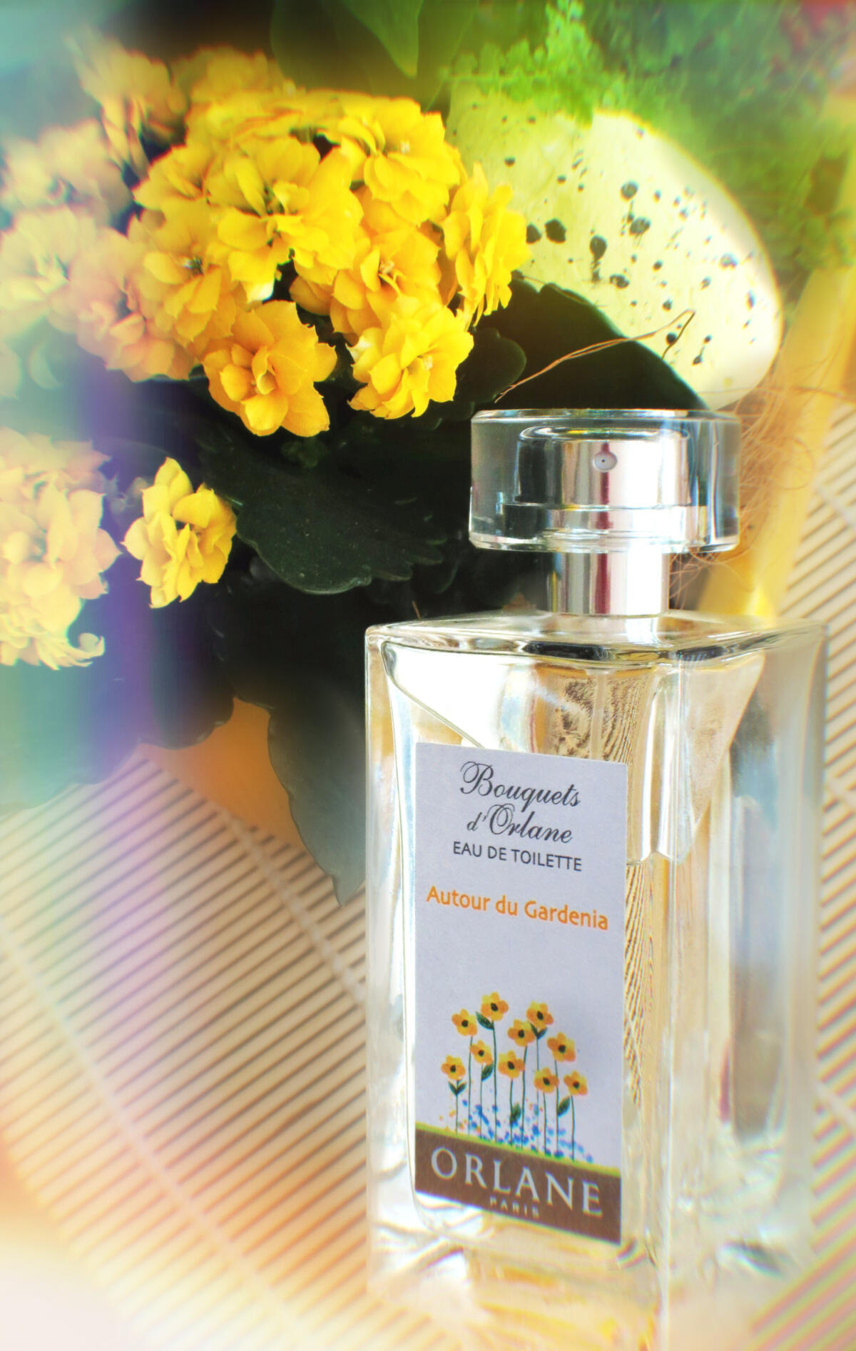 عطر ادکلن اوتور دو موگه اورلان - Autour du Muguet Orlane - بررسی، قیمت و خرید