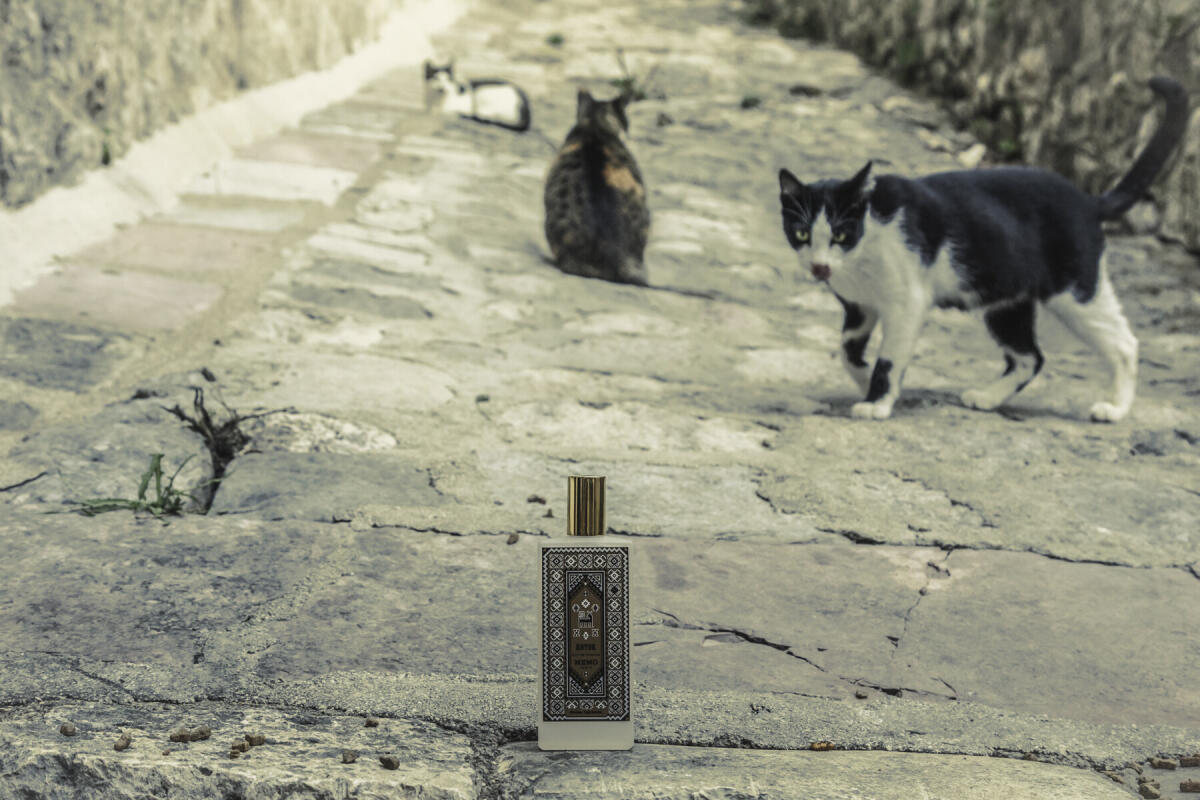 عطر ادکلن کوتور ممو پاریس - Kotor Memo Paris - بررسی، قیمت و خرید