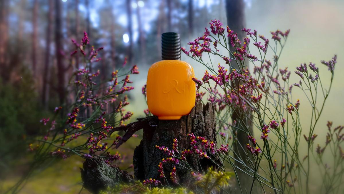 عطر ادکلن وانیل پارادوکس له پارفوم دو روزین - Vanille Paradoxe Les Parfums de Rosine - بررسی، قیمت و خرید