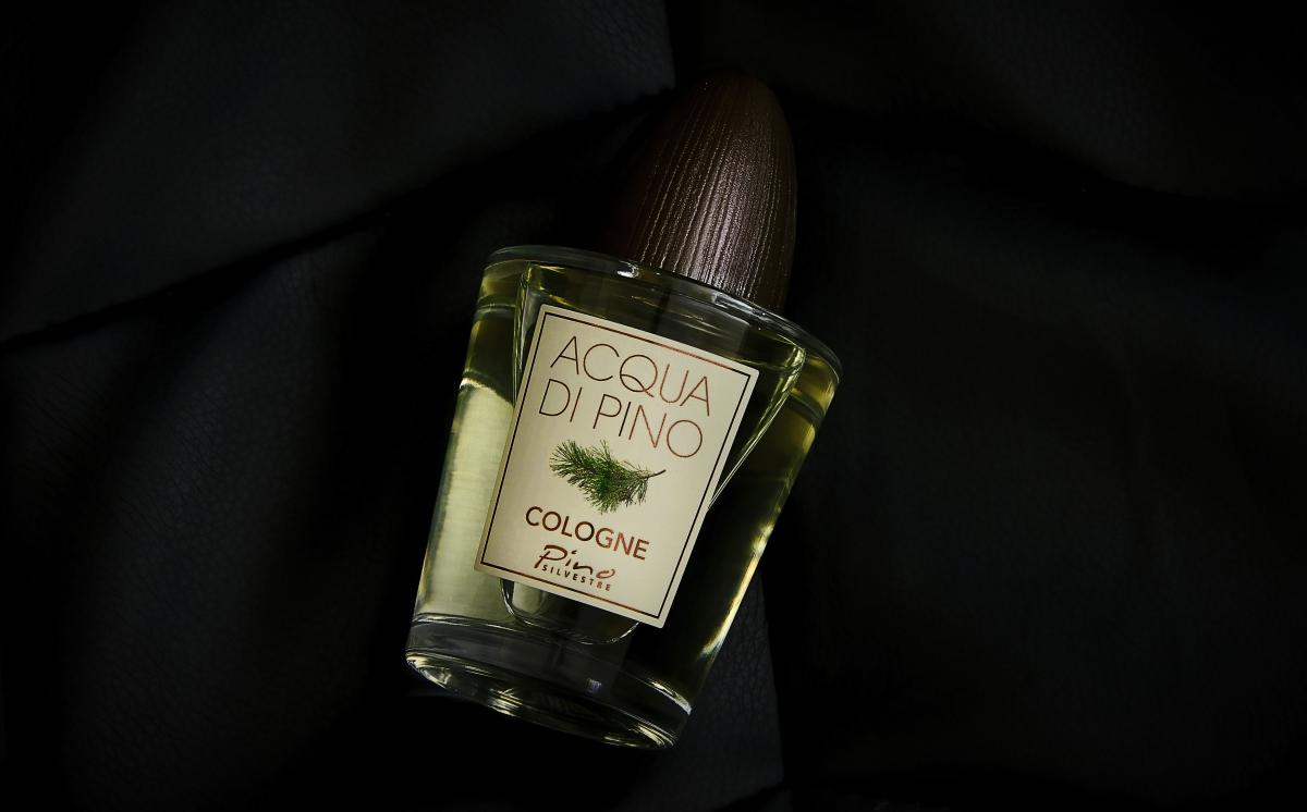 عطر ادکلن آکوا دی پینو کلن پینو سیلوستر - Acqua di Pino Cologne Pino Silvestre - بررسی، قیمت و خرید