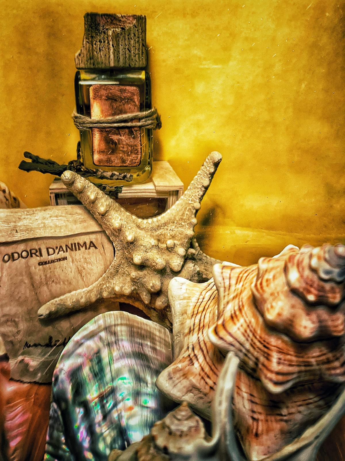 عطر ادکلن ایتاکا مندیتوروسا - Ithaka Mendittorosa - بررسی، قیمت و خرید