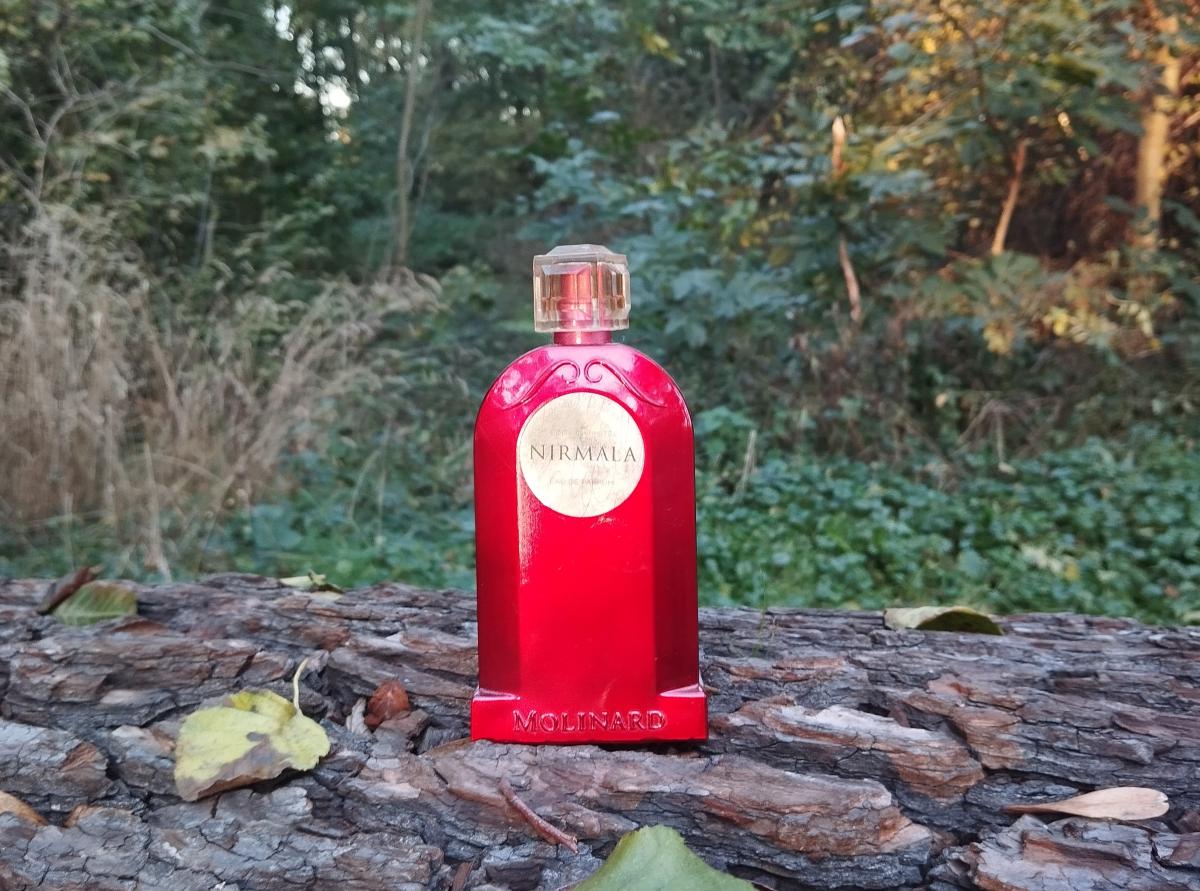 عطر ادکلن نیرمالا لیمیتد ادیشن مولینارد - Nirmala Limited Edition Molinard - بررسی، قیمت و خرید
