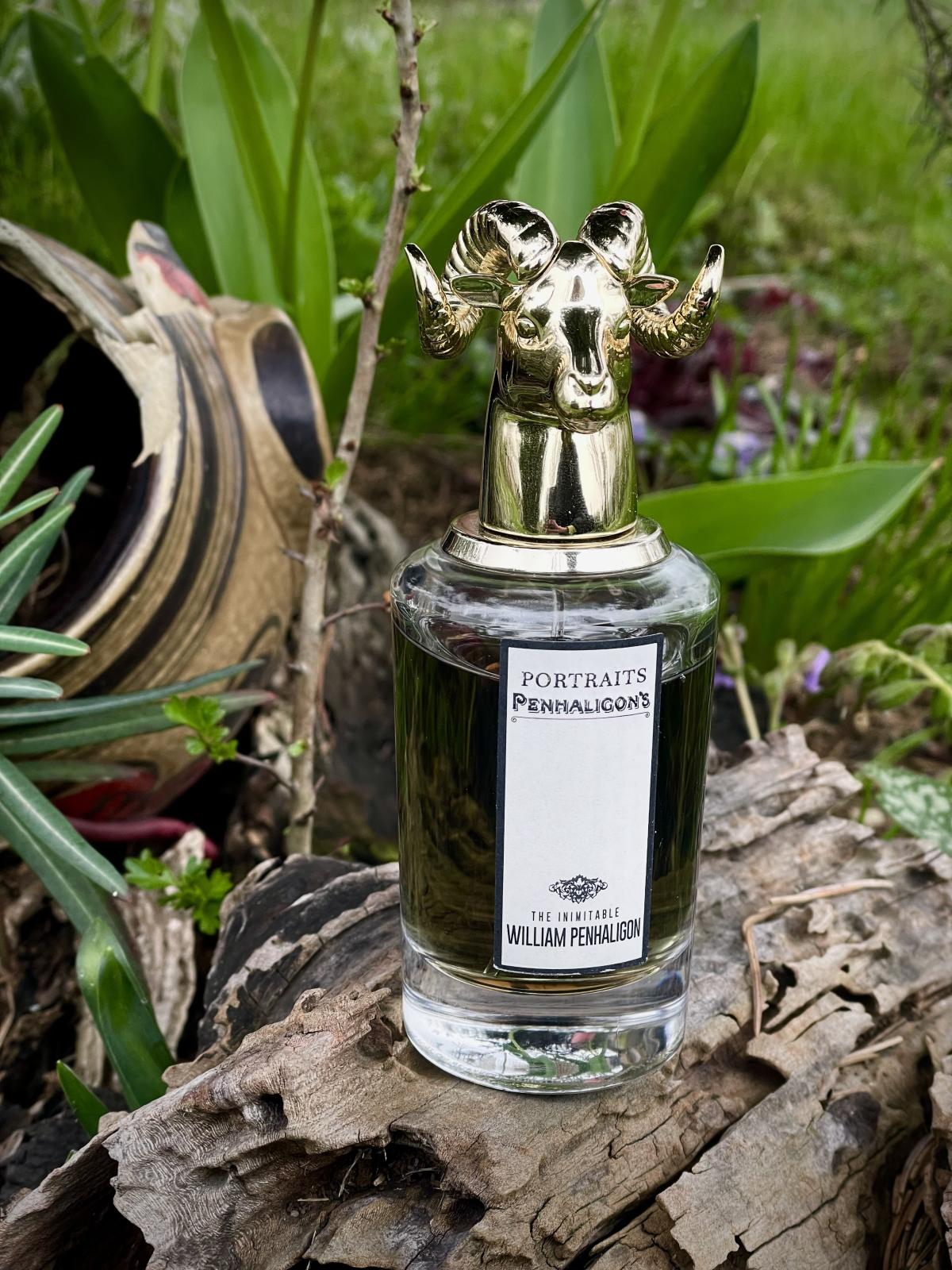 عطر ادکلن د اینیمیتبل ویلیام پنالیگان پنهالیگانز - The Inimitable William Penhaligon Penhaligon's - بررسی، قیمت و خرید