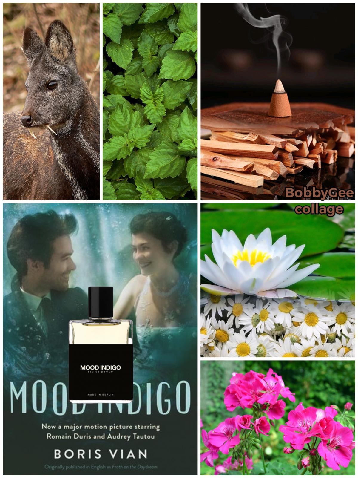 عطر ادکلن مود ایندیگو ماث اند ربیت پرفیومز - Mood Indigo Moth and Rabbit Perfumes - بررسی، قیمت و خرید