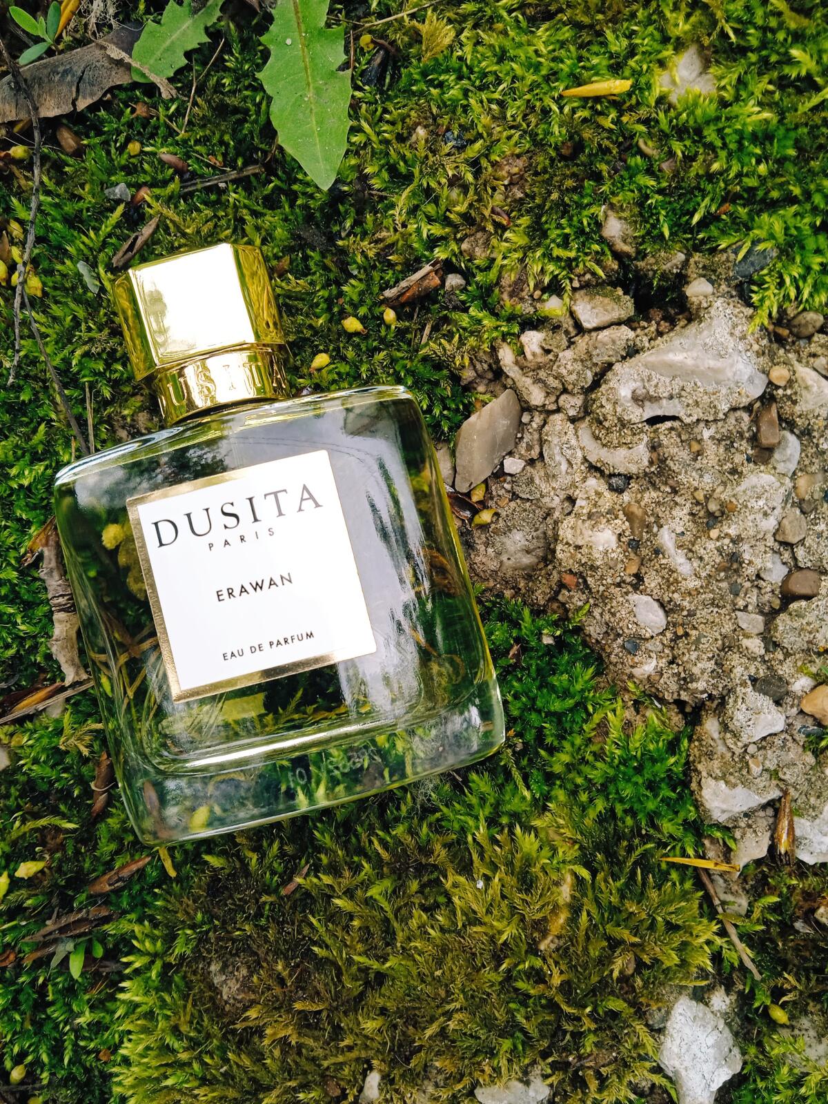 عطر ادکلن اروان پارفوم دو سیتا - Erawan Parfums Dusita - بررسی، قیمت و خرید