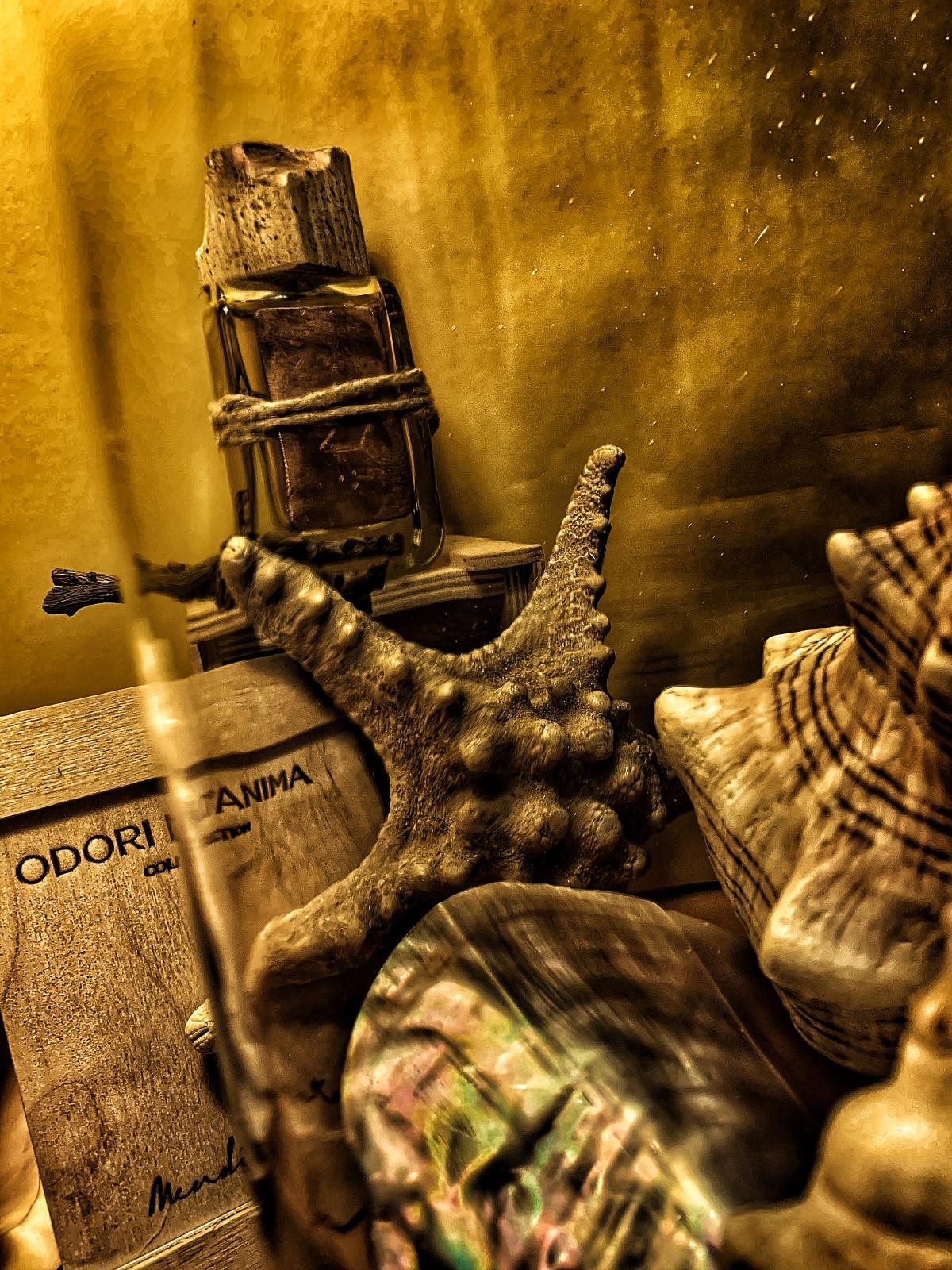 عطر ادکلن ایتاکا مندیتوروسا - Ithaka Mendittorosa - بررسی، قیمت و خرید