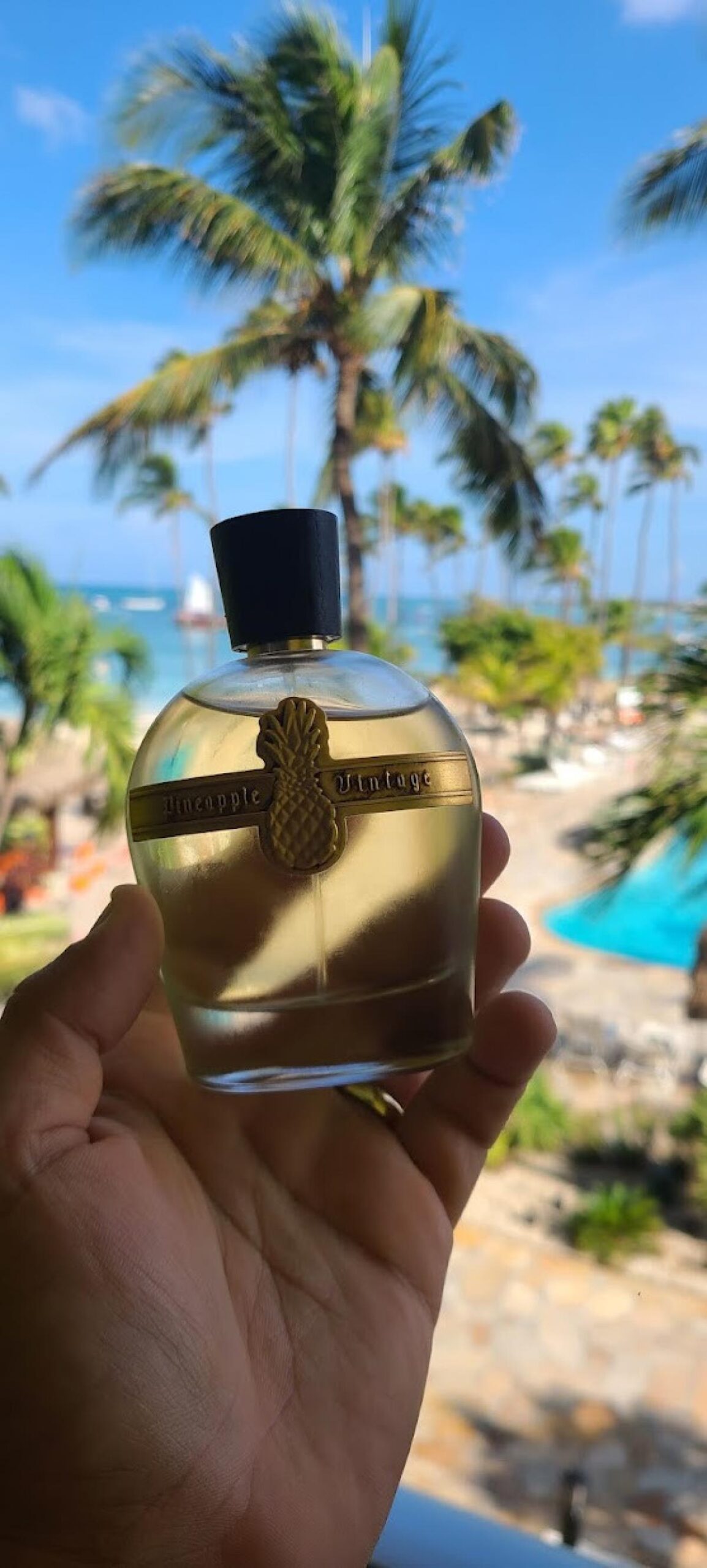 عطر ادکلن امپرور اکسترا پارفوم وینتیج - Emperor Extrait Parfums Vintage - بررسی، قیمت و خرید