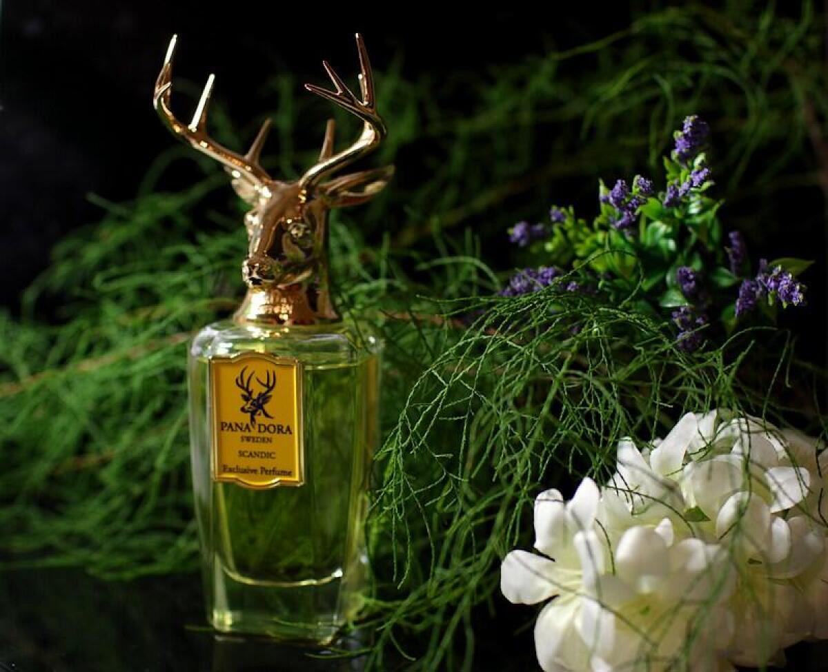 عطر ادکلن اسکندیک پاندورا - Scandic Pana Dora - بررسی، قیمت و خرید