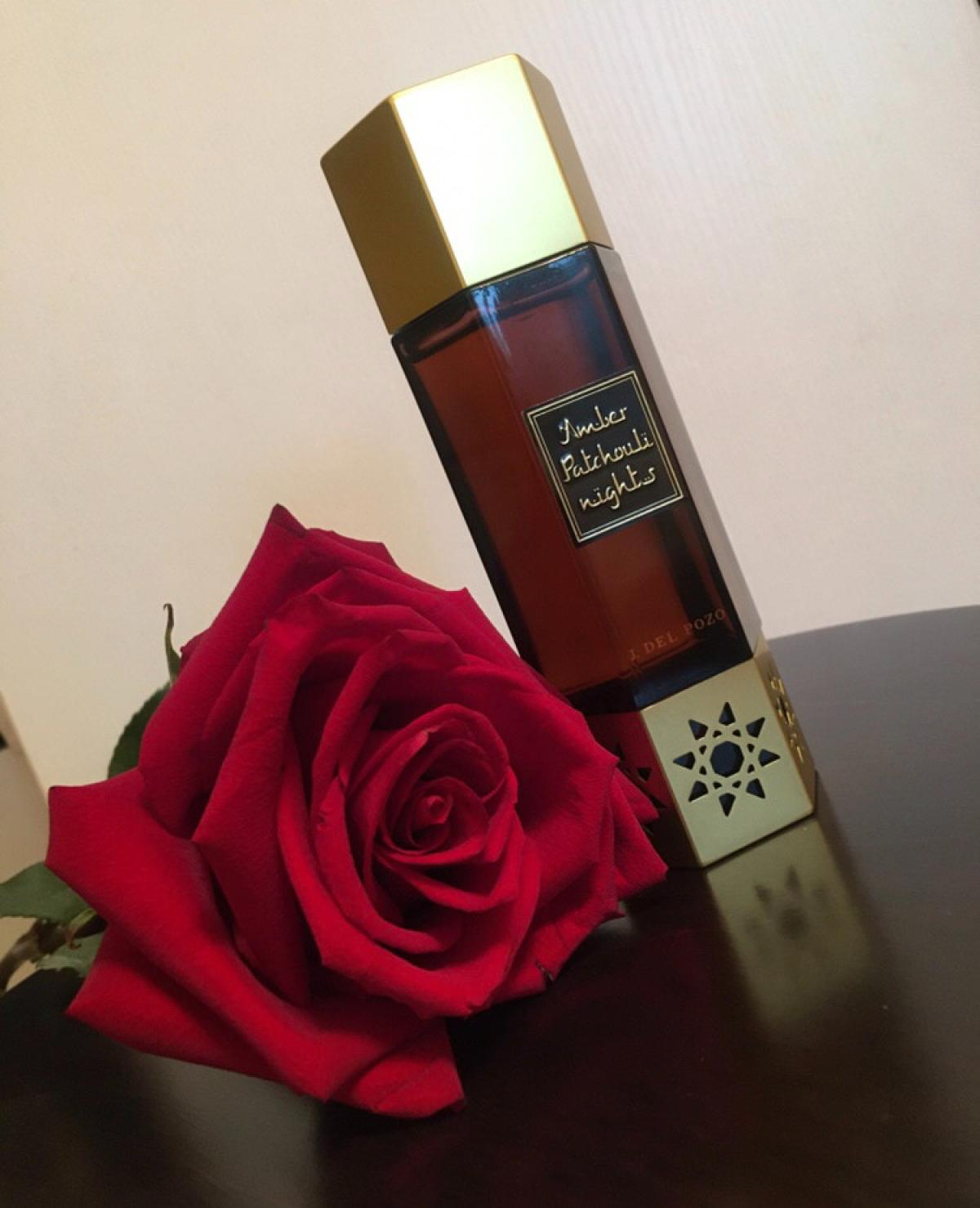 عطر ادکلن امبر پچولی نایتس خسوس دل پوزو - Amber Patchouli Nights Jesus Del Pozo - بررسی، قیمت و خرید