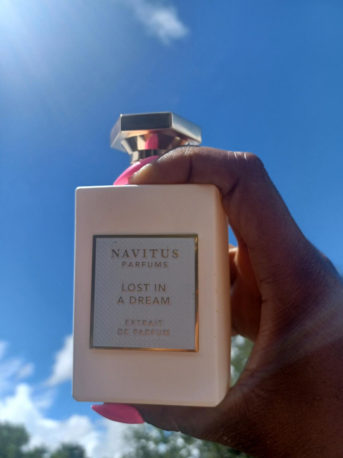 عطر ادکلن لاست این ا دریم ناویتوس پارفومز - Lost in a Dream Navitus Parfums - بررسی، قیمت و خرید