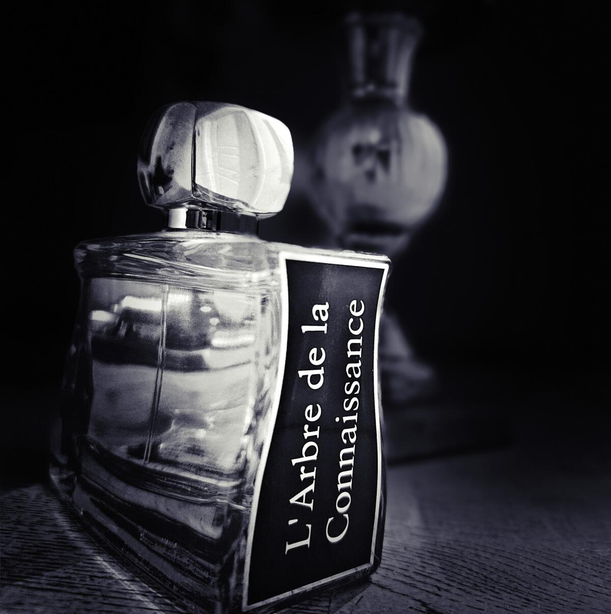 عطر ادکلن لاربغ دو لا کْونِسانس جووی پاریس - L’Arbre de la Connaissance Jovoy Paris - بررسی، قیمت و خرید