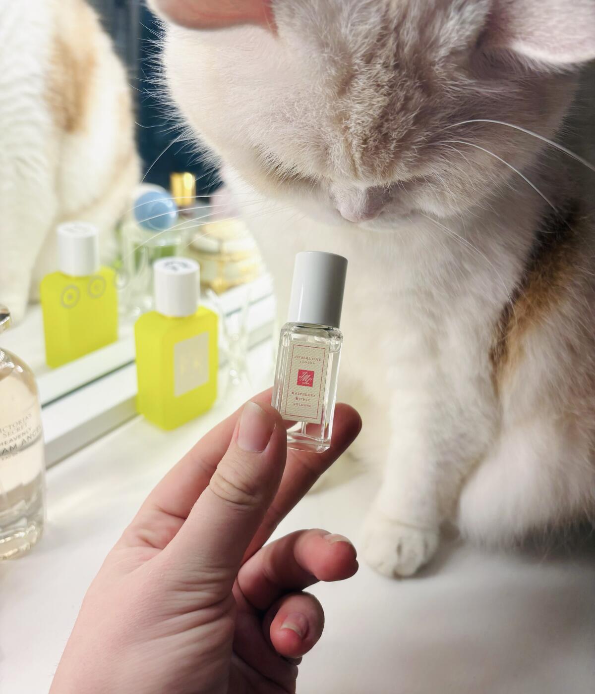 عطر ادکلن رسپبری ریپل جو مالون لندن - Raspberry Ripple Jo Malone London - بررسی، قیمت و خرید