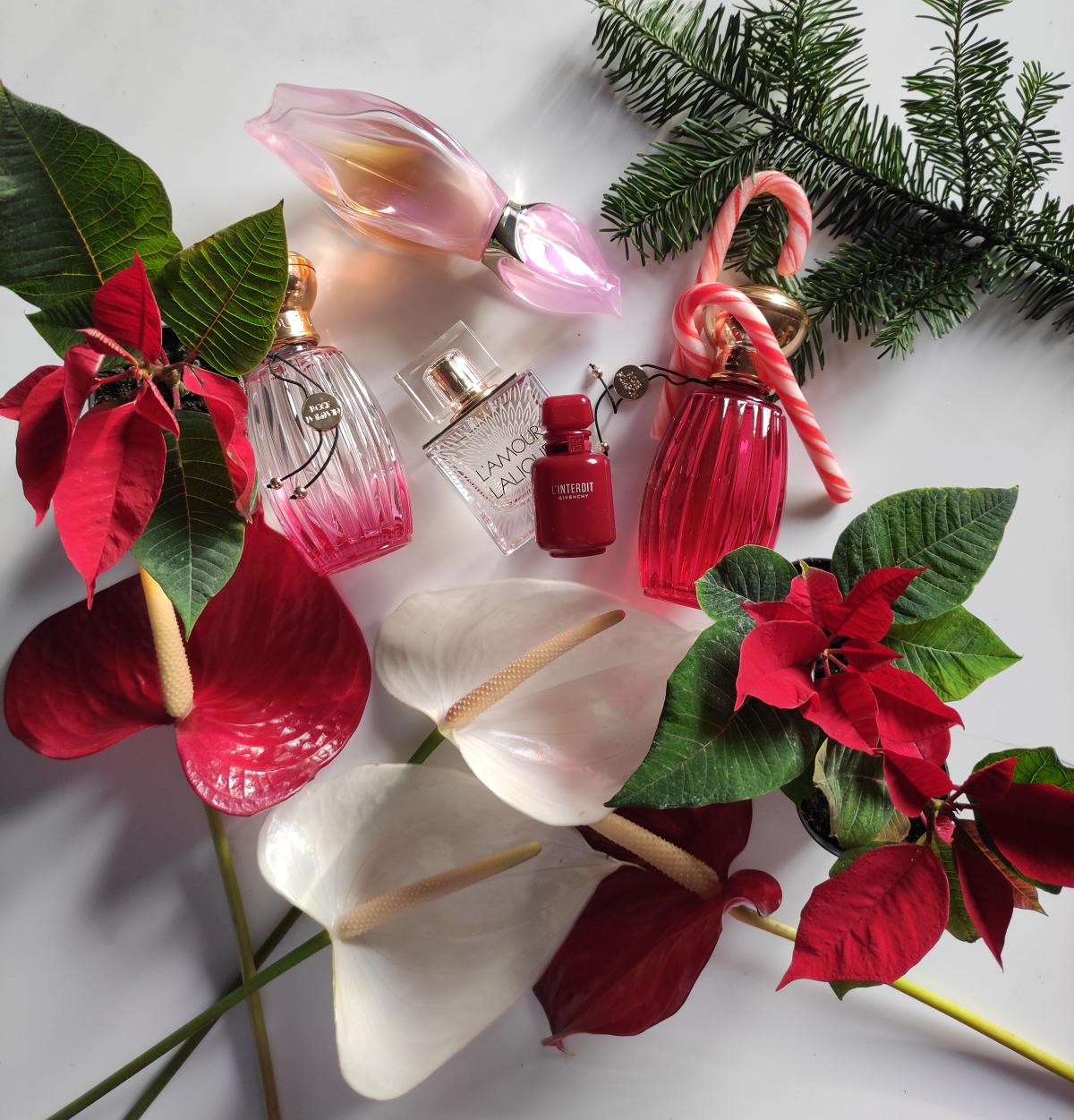 عطر ادکلن لوکوم او پودره کیکو میچری - Loukhoum Eau Poudree Keiko Mecheri - بررسی، قیمت و خرید