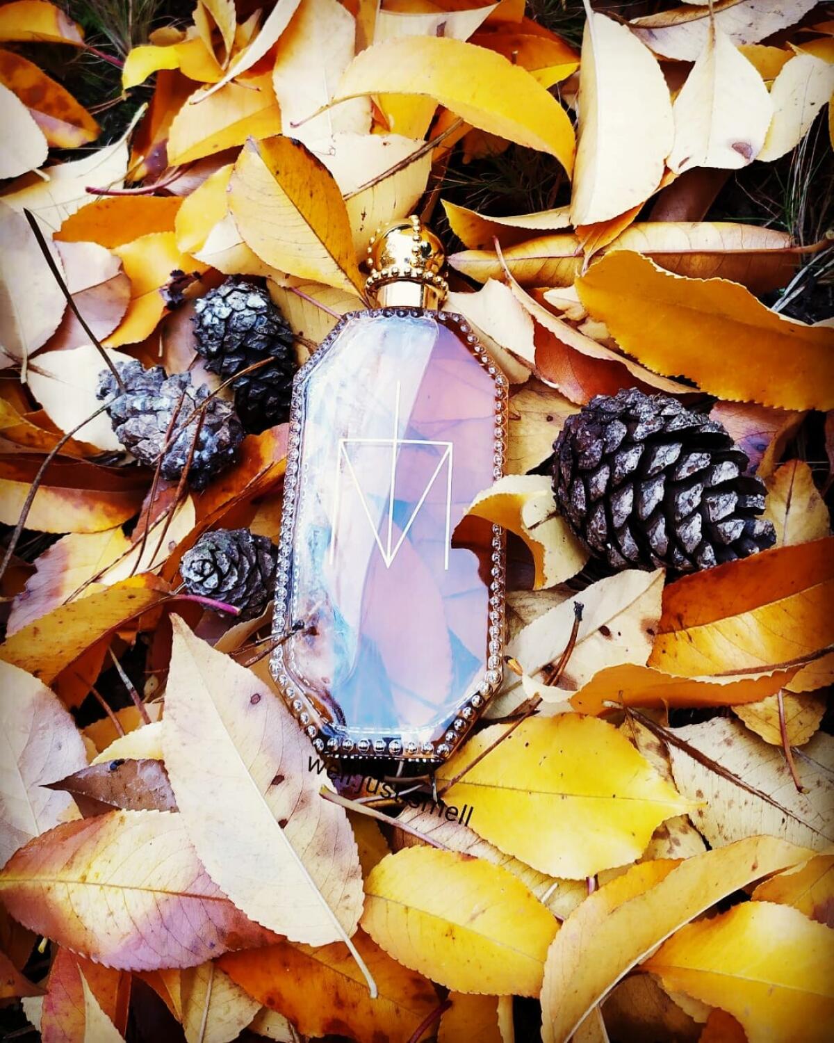 عطر ادکلن تروث اور دیر بای مدونا نیکد مَدونا - Truth or Dare by Madonna Naked Madonna - بررسی، قیمت و خرید