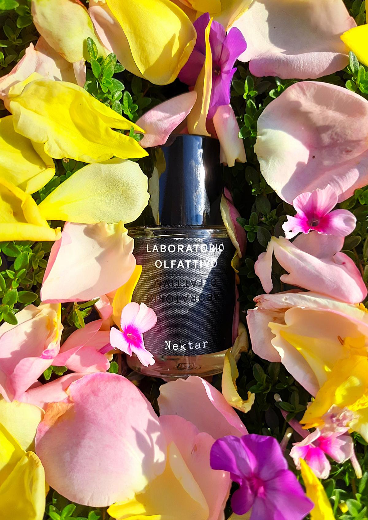 عطر ادکلن نکتار لَبُراتوریو اُلفَتیوو - Nektar Laboratorio Olfattivo - بررسی، قیمت و خرید