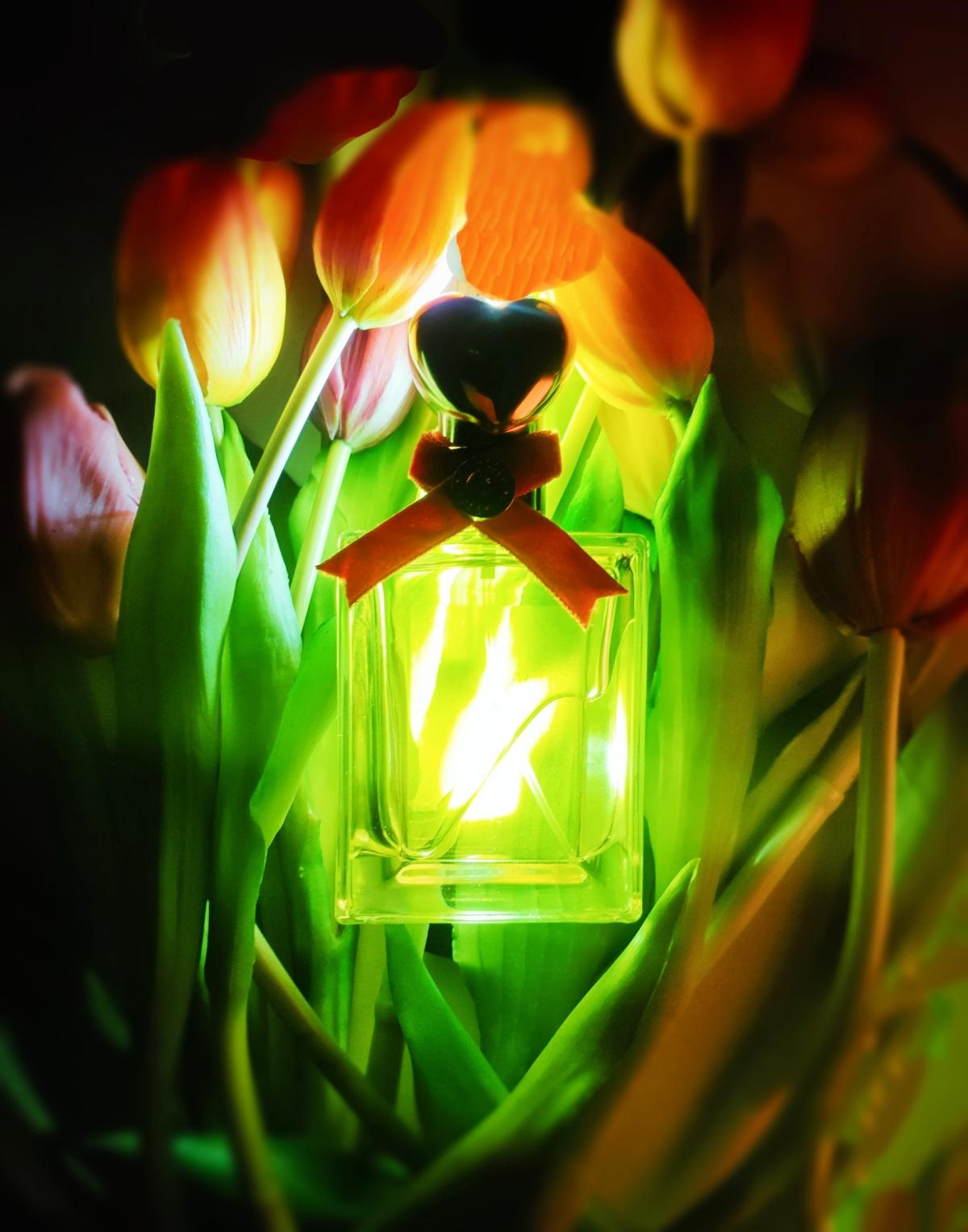 عطر ادکلن کوتور موشینو - Couture! Moschino - بررسی، قیمت و خرید