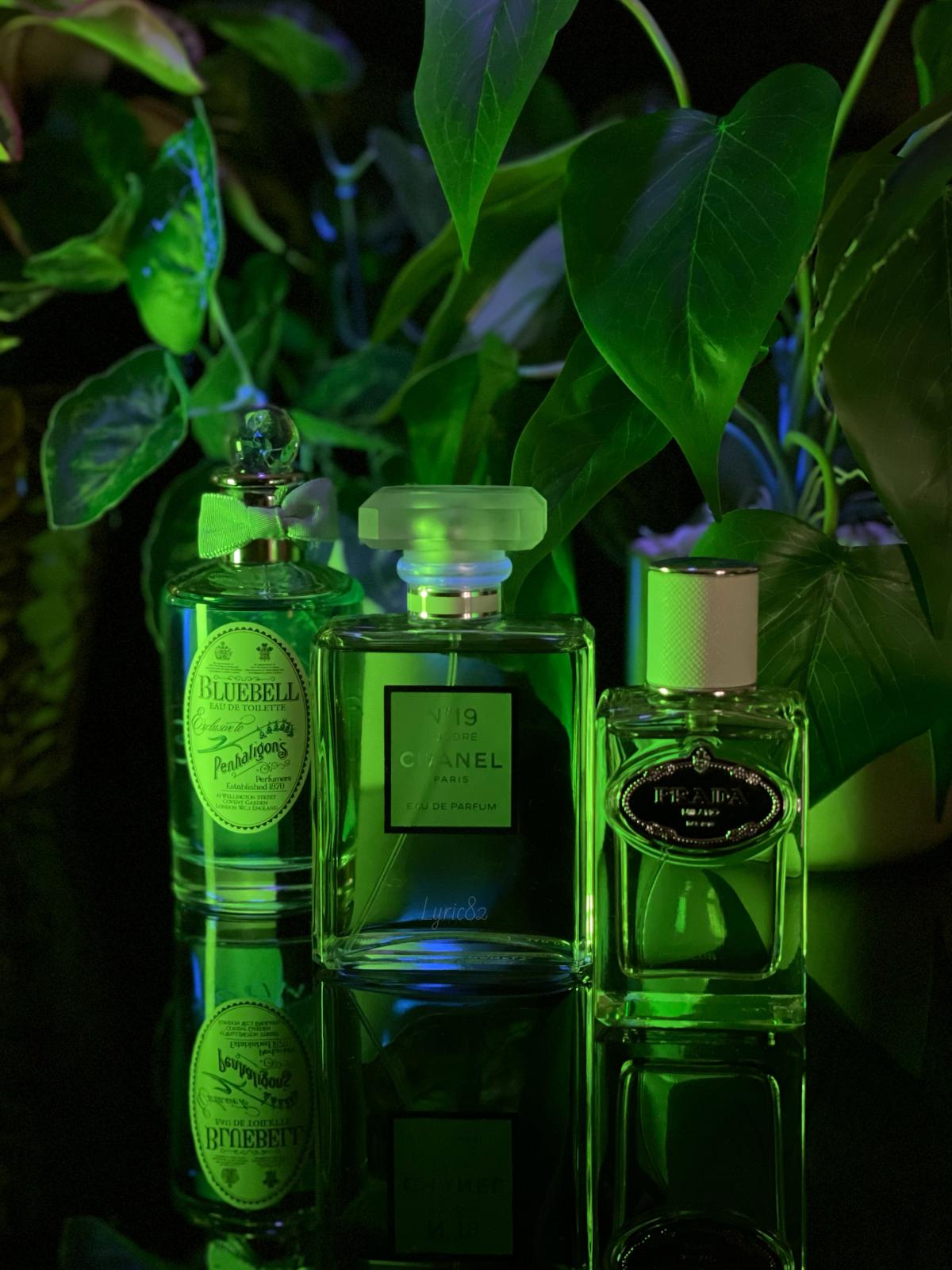 عطر ادکلن بلوبل پن‌هالیگونز - Bluebell Penhaligon's - بررسی، قیمت و خرید