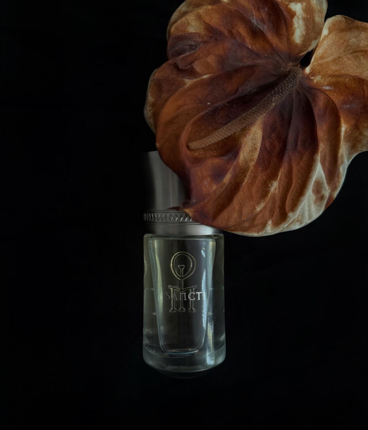 عطر ادکلن سنکتی لز لیکیدز ایماجینر - Sancti Les Liquides Imaginaires - بررسی، قیمت و خرید