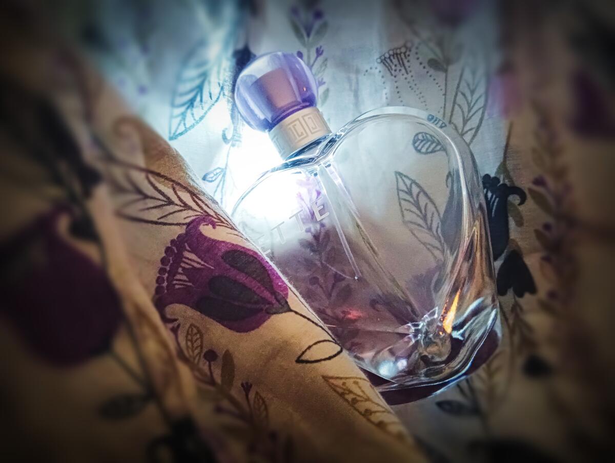 عطر ادکلن ژته جته جوپ - Jette Jette Joop - بررسی، قیمت و خرید