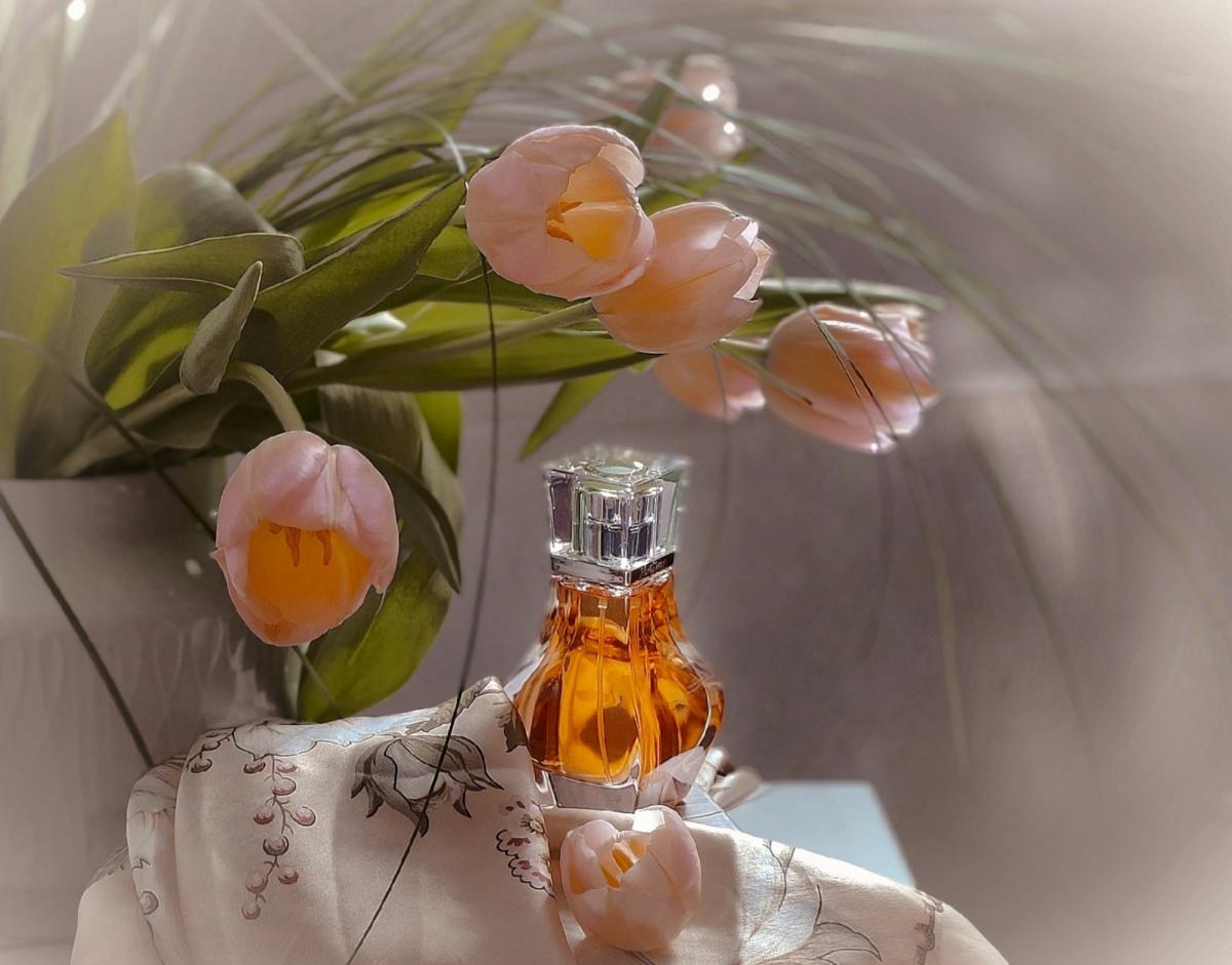 عطر ادکلن پارفوم دو فم مونتانا - Parfum de Femme Montana - بررسی، قیمت و خرید