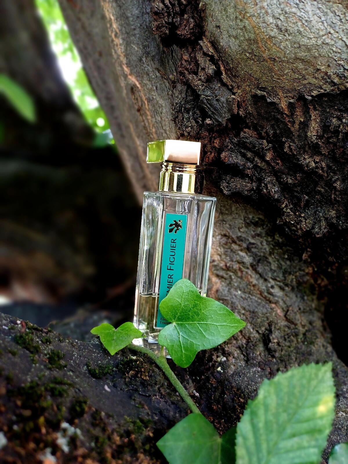 عطر ادکلن پرمیر فیگیه لارتیزان پارفومر - Premier Figuier L'Artisan Parfumeur - بررسی، قیمت و خرید
