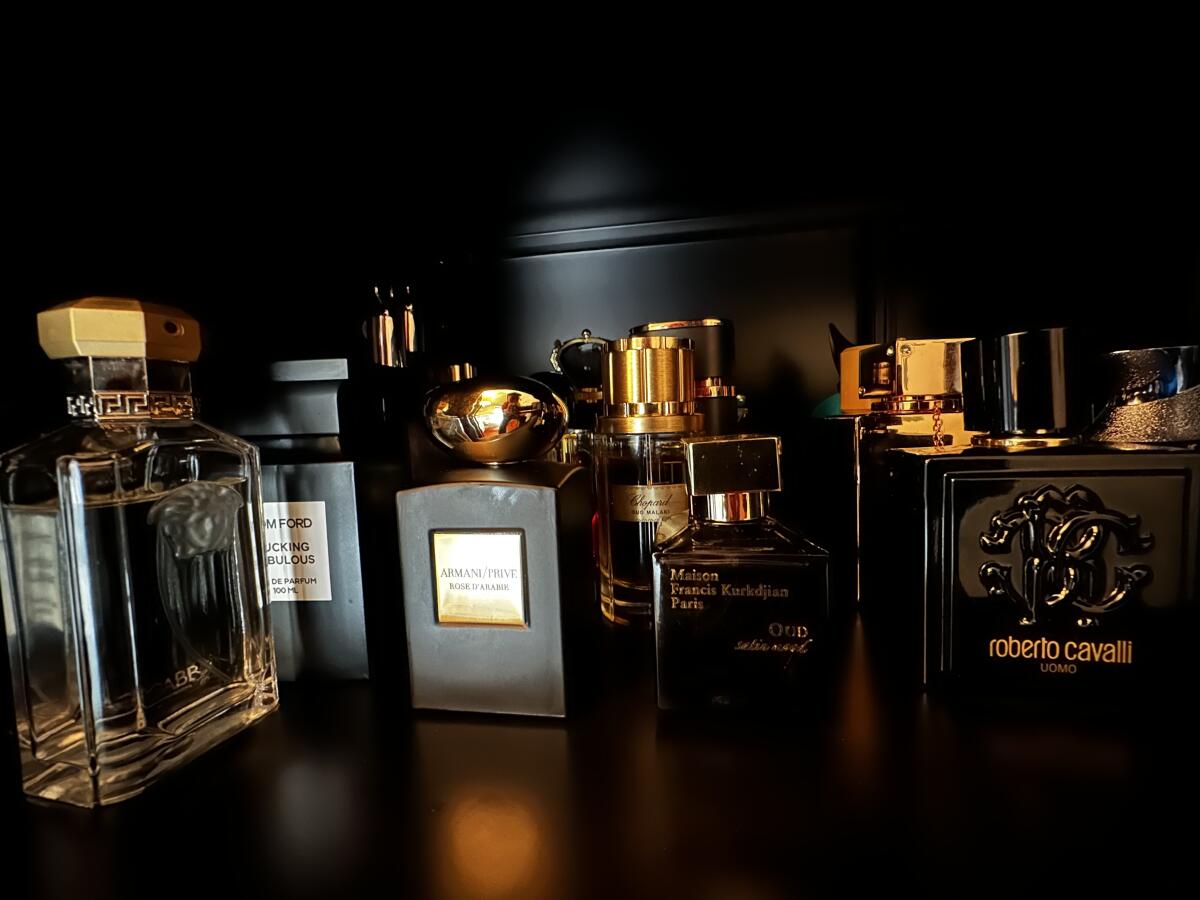 عطر ادکلن بوا دو وتیور کارل لاگرفلد - Bois de Vetiver Karl Lagerfeld - بررسی، قیمت و خرید