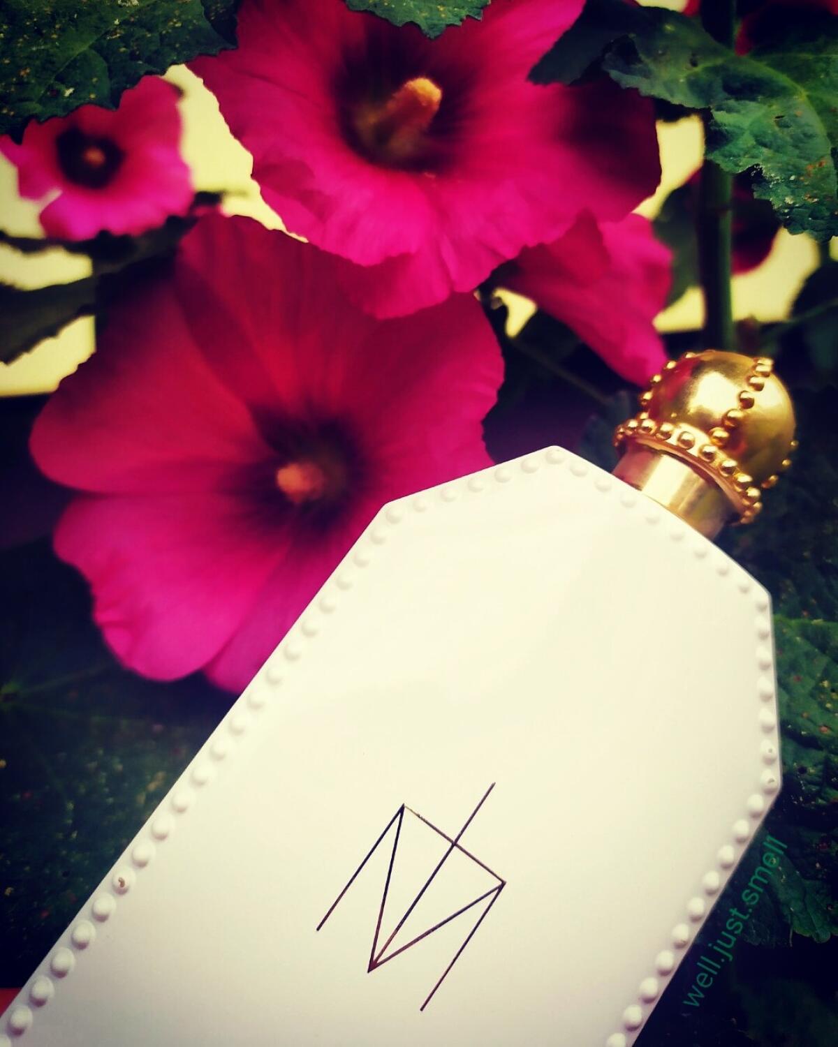 عطر ادکلن ترود ار در مدونا - Truth or Dare Madonna - بررسی، قیمت و خرید