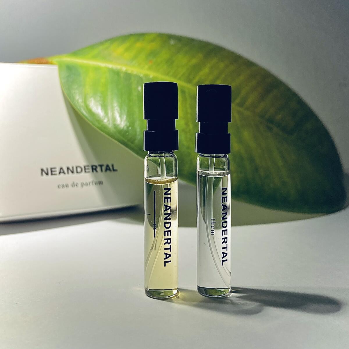 عطر ادکلن نیاندرتال تم نئاندرتال - Neandertal Them Neandertal - بررسی، قیمت و خرید