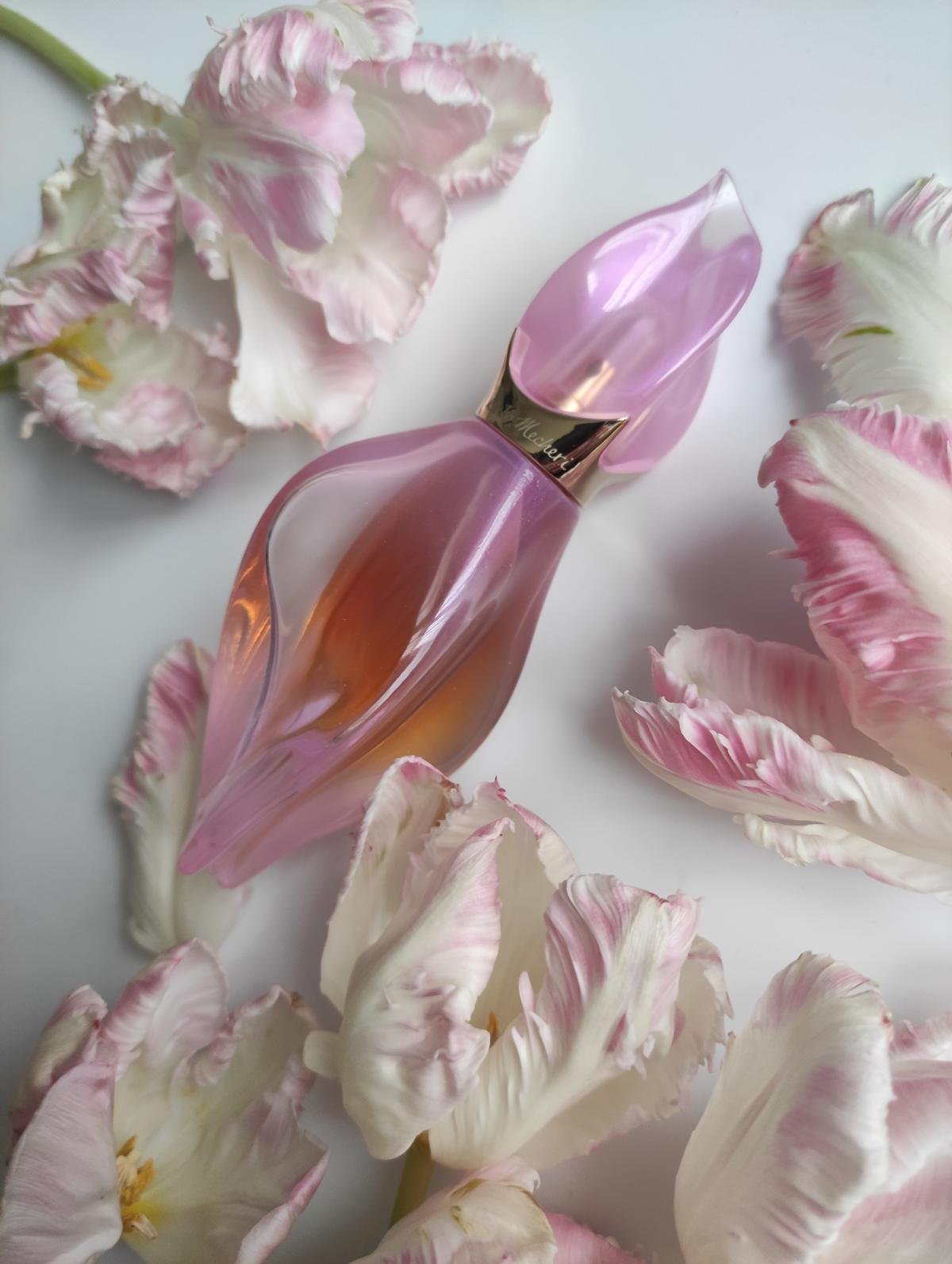 عطر ادکلن لوکوم او پودره کیکو میچری - Loukhoum Eau Poudree Keiko Mecheri - بررسی، قیمت و خرید