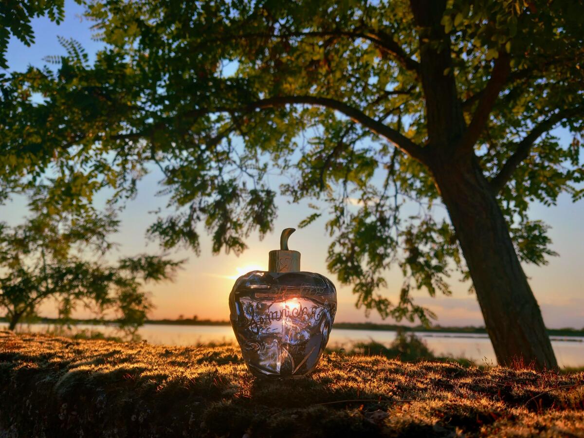 عطر ادکلن لولیتا لمپیکا لولیتا لمپیکا - Lolita Lempicka Lolita Lempicka - بررسی، قیمت و خرید