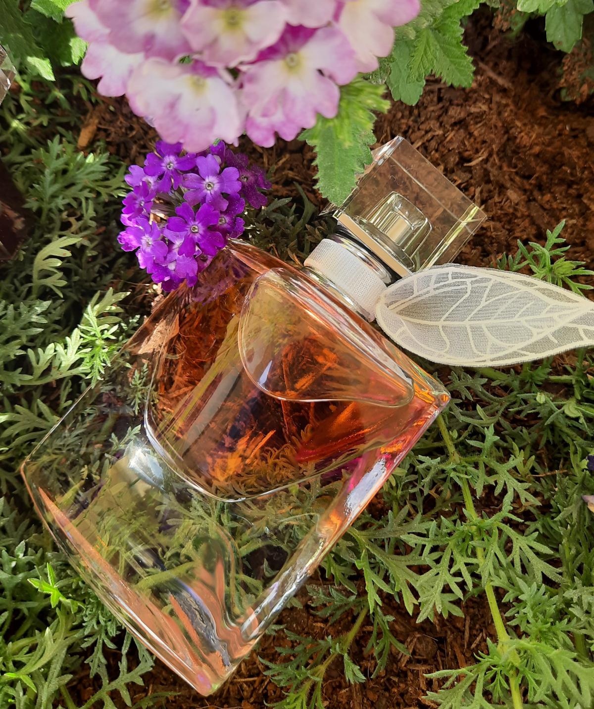 عطر ادکلن لا وی است بل دومین دو لا رز لَنکوم - La Vie Est Belle Domaine de la Rose Lancôme - بررسی، قیمت و خرید