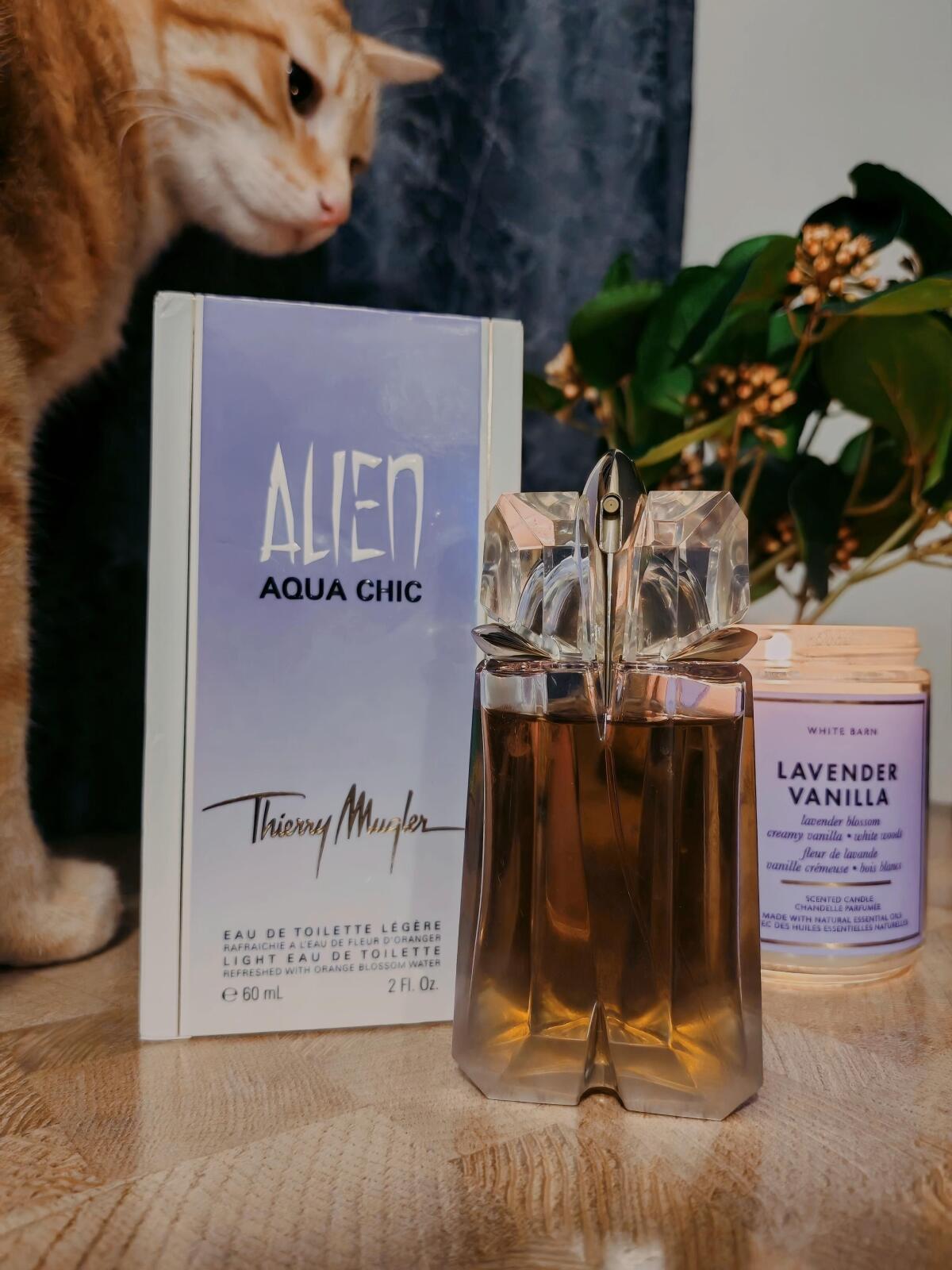 عطر ادکلن الیین آکوا شیک ۲۰۱۳ ماگلر - Alien Aqua Chic 2013 Mugler - بررسی، قیمت و خرید