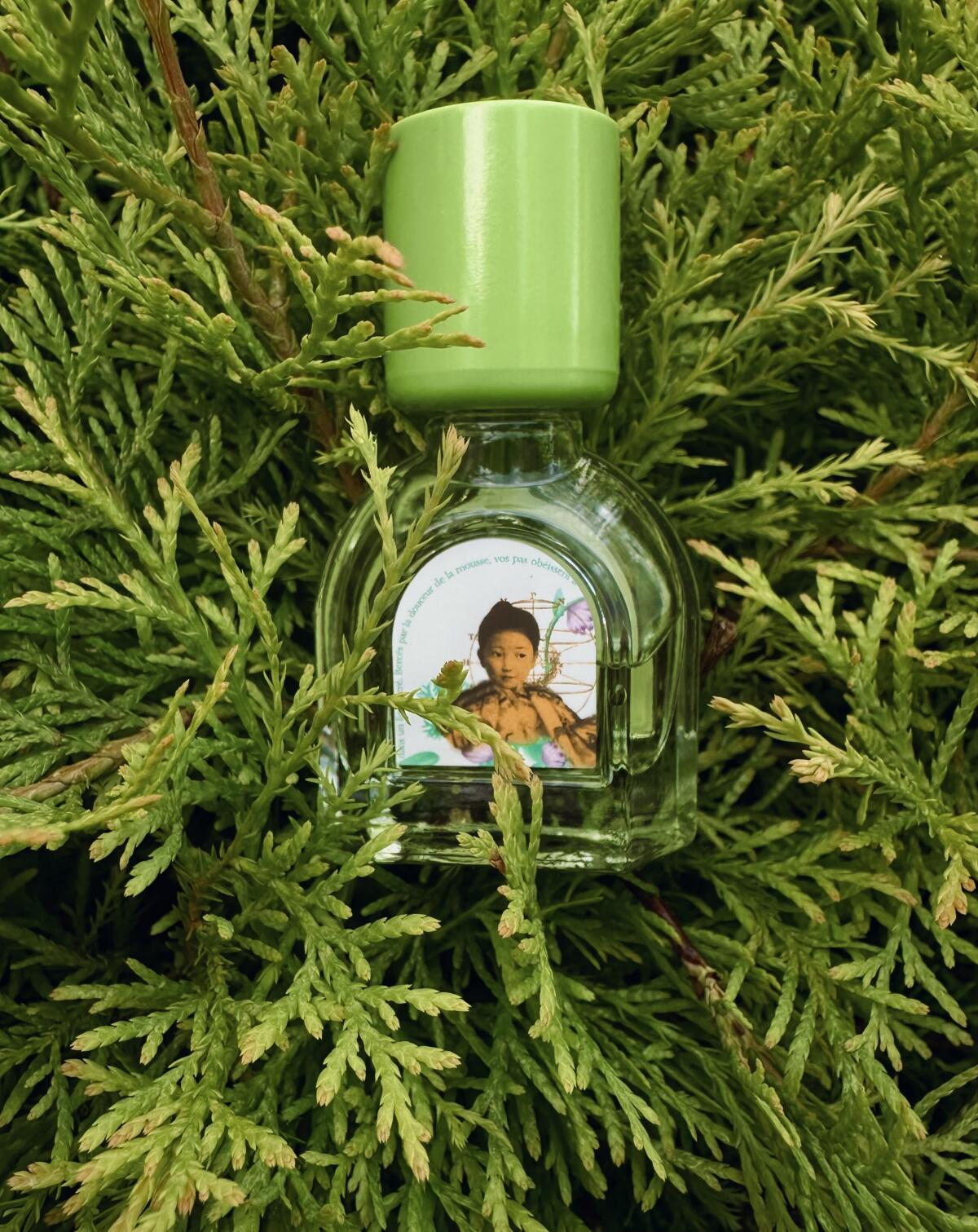 عطر ادکلن موس آراشیاما لجردن رترووه - Mousse Arashiyama Le Jardin Retrouve - بررسی، قیمت و خرید