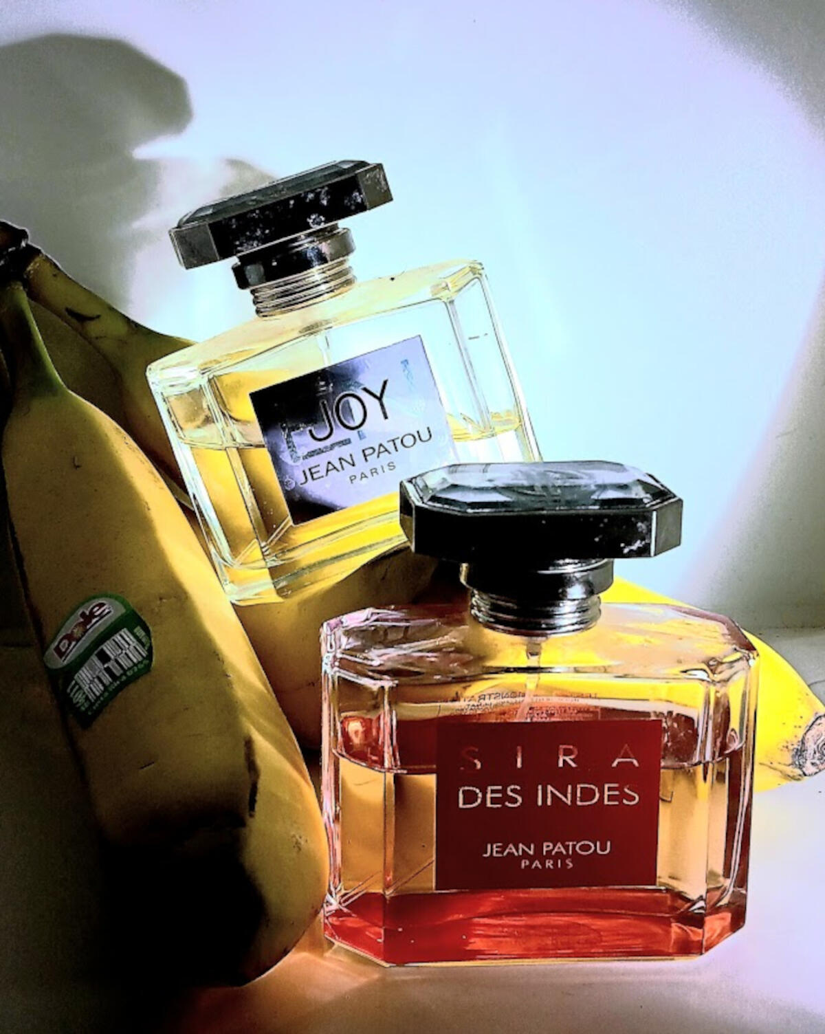 عطر ادکلن سیرا دز اندس ژان پَتو - Sira des Indes Jean Patou - بررسی، قیمت و خرید