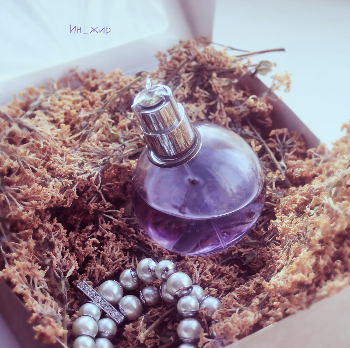 عطر ادکلن اکلت د آرپژ لنوین - Eclat d’Arpège Lanvin - بررسی، قیمت و خرید