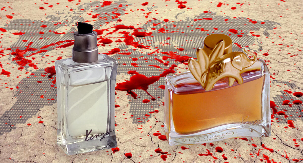 عطر ادکلن کنزو جانگل هوم کنزو - Kenzo Jungle Homme Kenzo - بررسی، قیمت و خرید