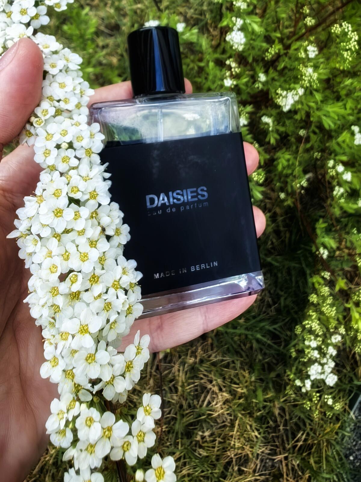 عطر ادکلن دِیزی‎ز ماث اند ربیت پرفیومز - Daisies Moth and Rabbit Perfumes - بررسی، قیمت و خرید