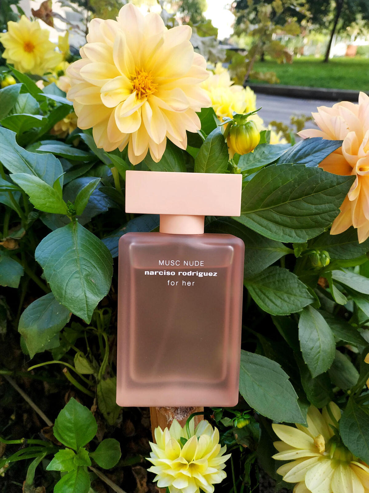 عطر ادکلن نارسیسو رودریگز فور هر ماسک نود نارسیسو رودریگز - Narciso Rodriguez For Her Musc Nude Narciso Rodriguez - بررسی، قیمت و خرید