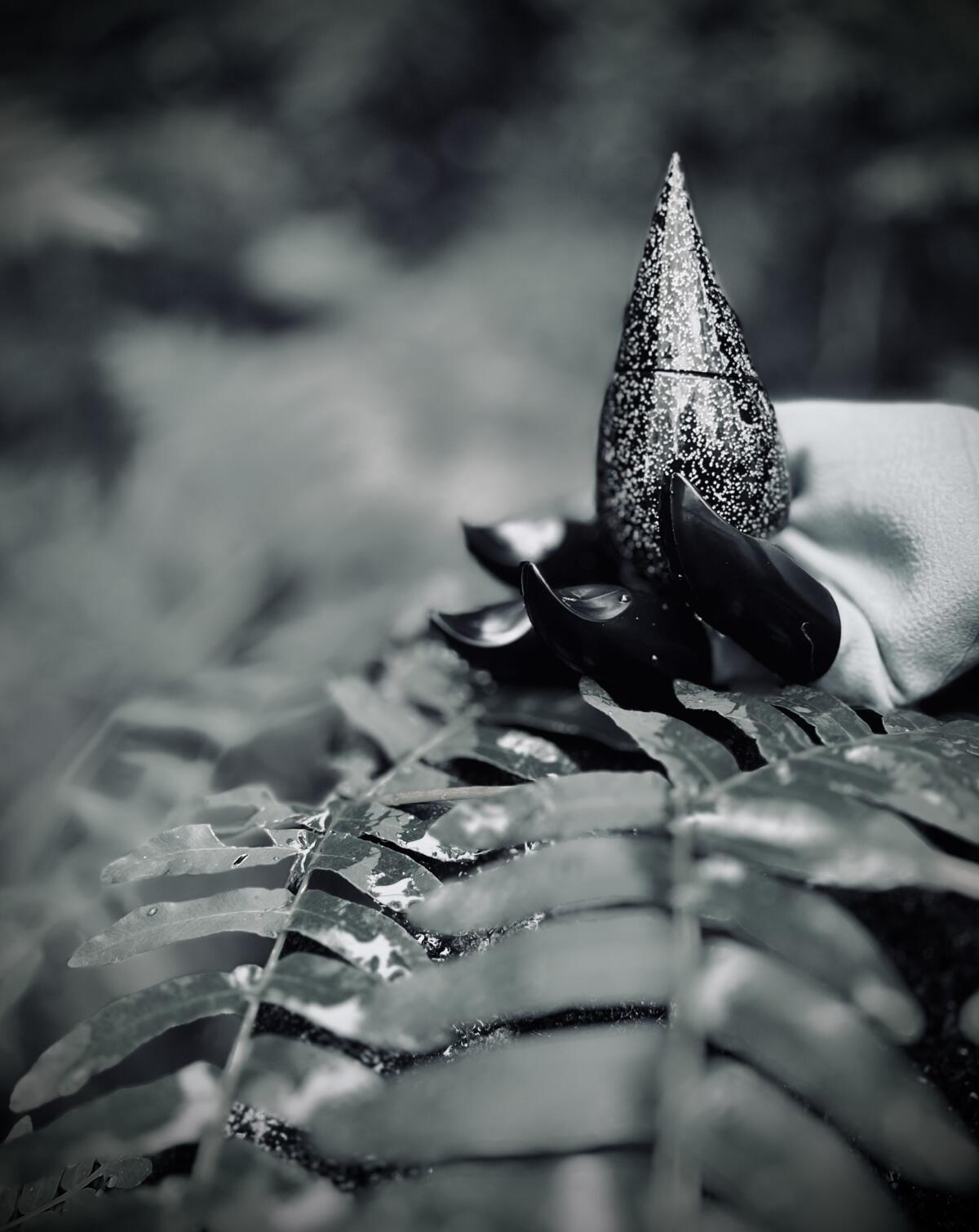 عطر ادکلن میدنایت رین لا پرری - Midnight Rain La Prairie - بررسی، قیمت و خرید