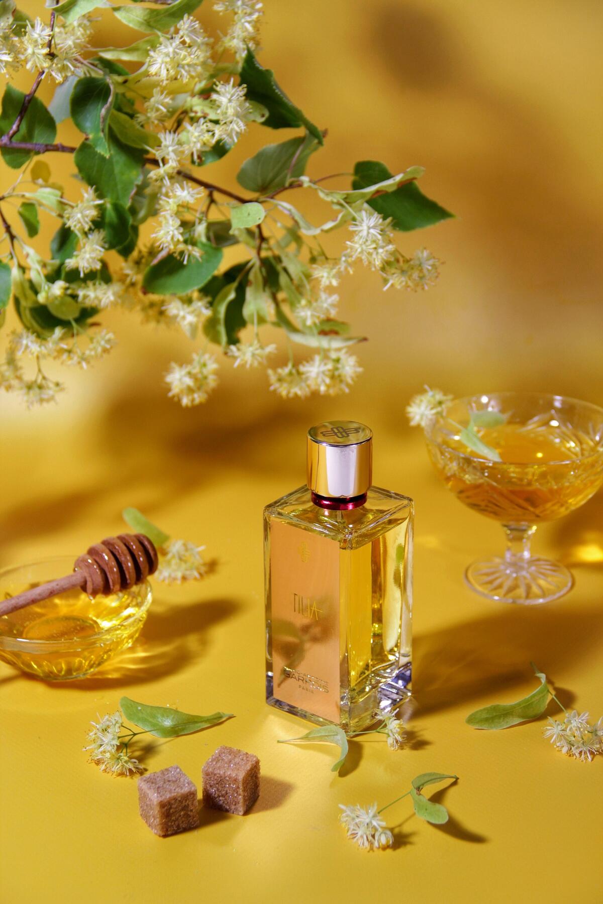 عطر ادکلن تیلیا مارک-آنتوان باروا - Tilia Marc-Antoine Barrois - بررسی، قیمت و خرید