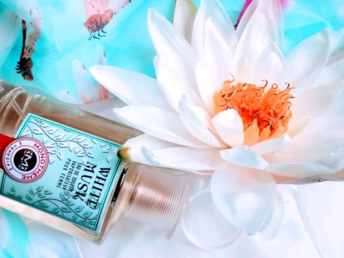 عطر ادکلن وایت ماسک پور فم مونوتمه ونیزیا - White Musk Pour Femme Monotheme Venezia - بررسی، قیمت و خرید