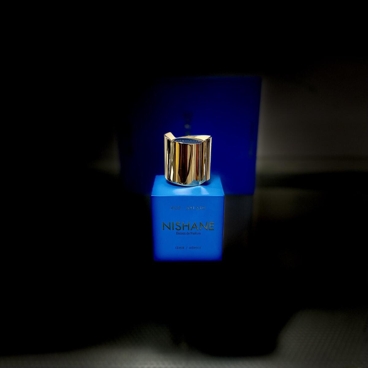 عطر ادکلن اژه نیشانه - EGE / ΑΙΓΑΙΟ Nishane - بررسی، قیمت و خرید