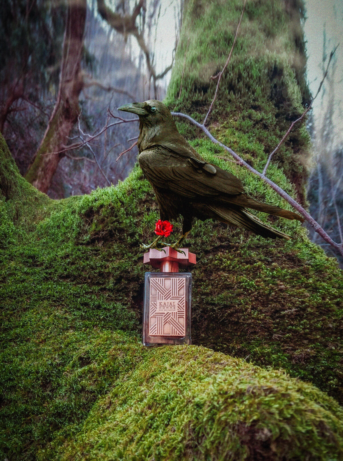 عطر ادکلن کاجال هوم کاجال - Kajal Homme Kajal - بررسی، قیمت و خرید