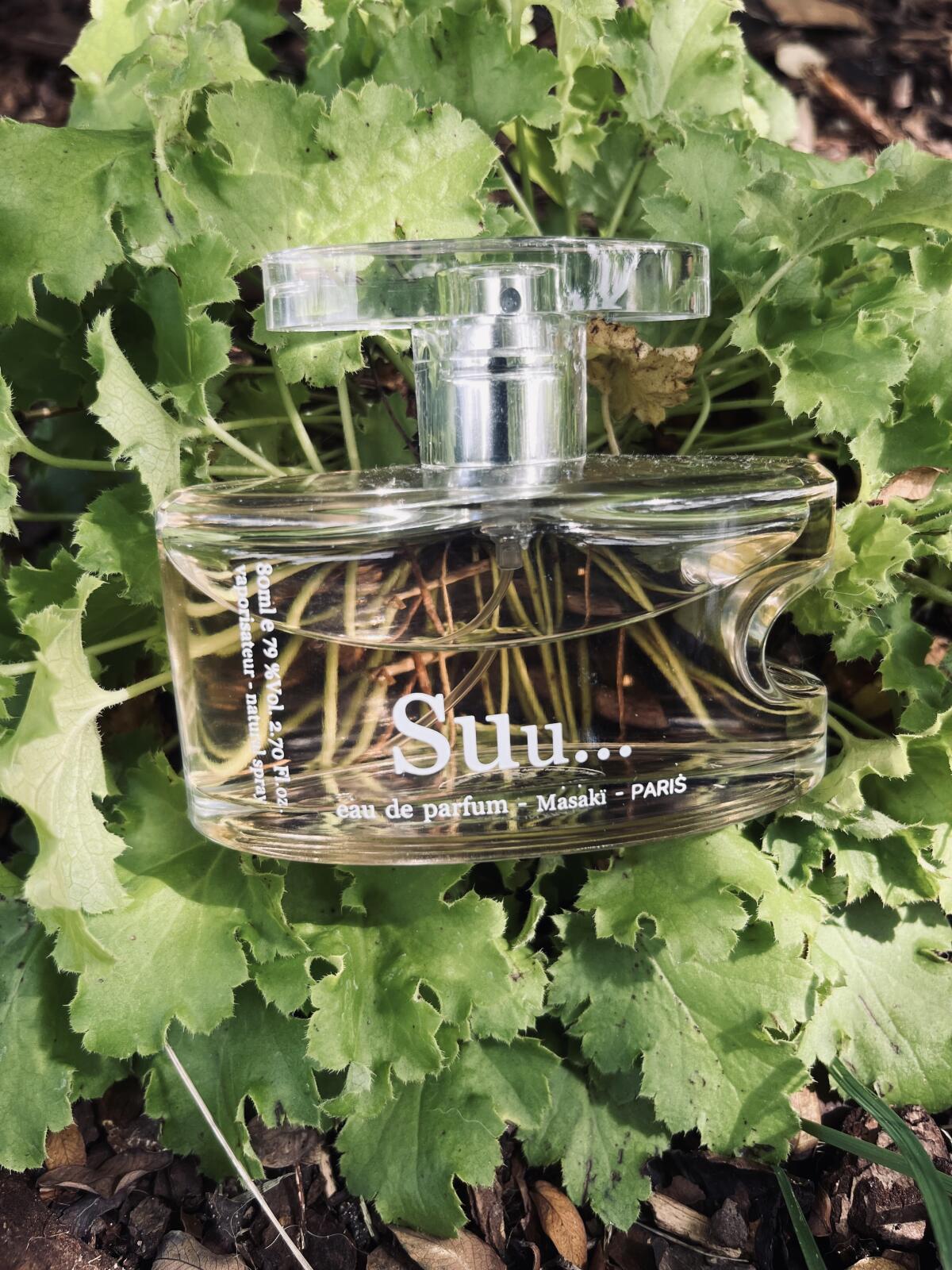 عطر ادکلن سو ماساکی ماتسوشیما - Suu Masaki Matsushima - بررسی، قیمت و خرید