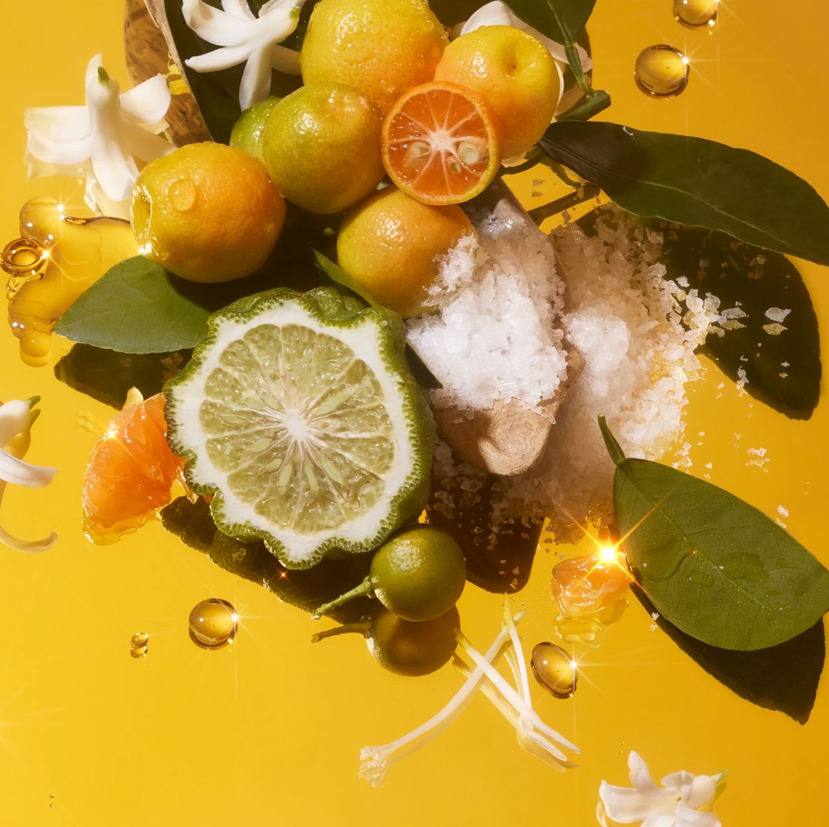 عطر ادکلن سولار پاور فلور - Solar Power Phlur - بررسی، قیمت و خرید