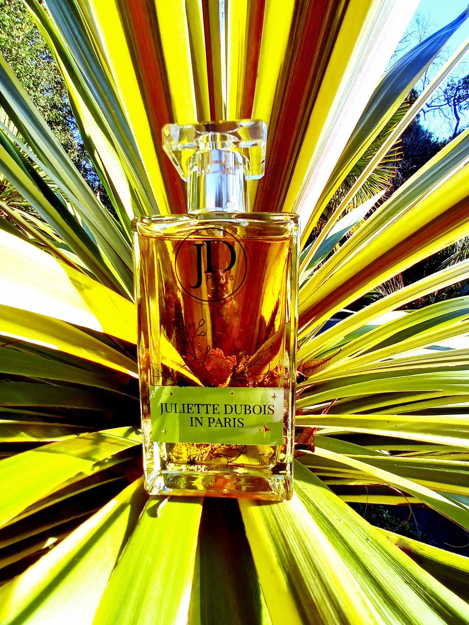 عطر ادکلن ژولیت دوبوآ این پاریس جولای سنت بارتلمی - Juliette Dubois in Paris July St Barthelemy - بررسی، قیمت و خرید