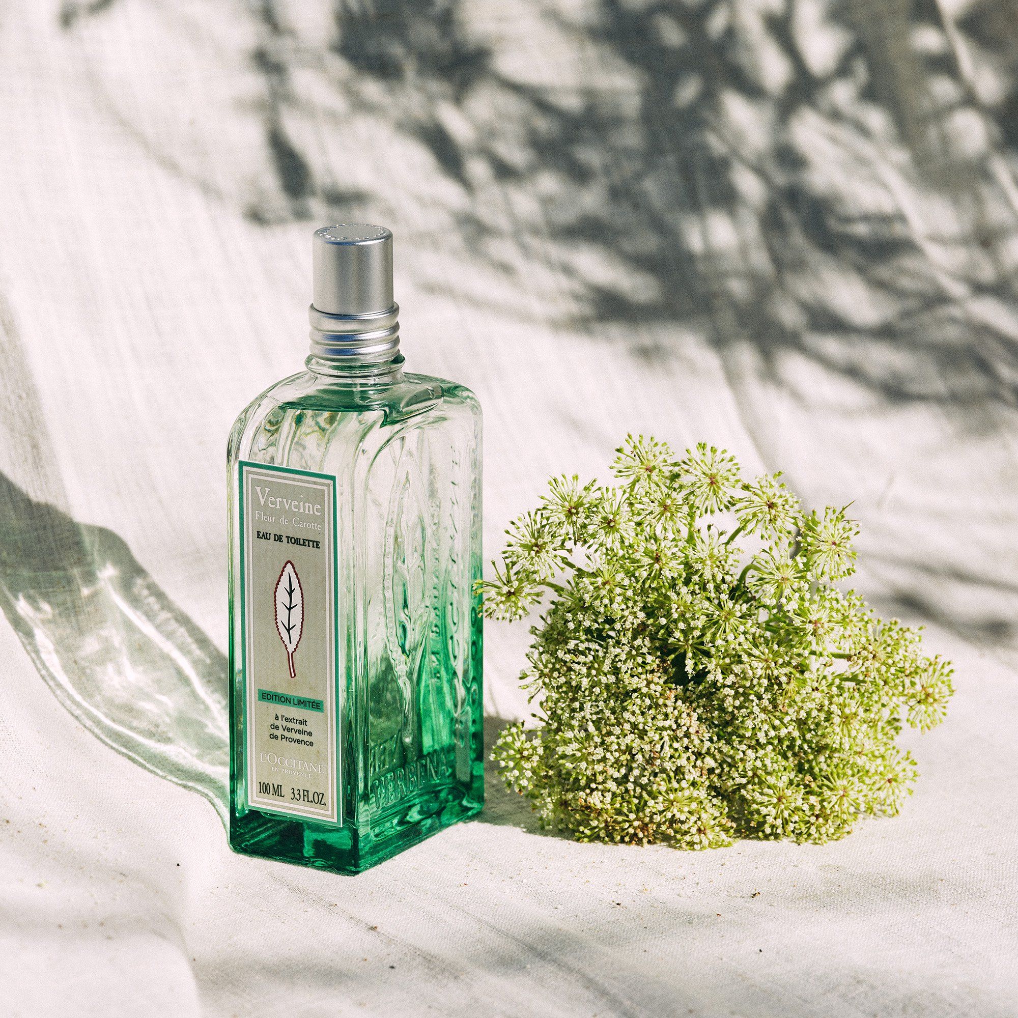 عطر ادکلن وِروِنه فلور دِ کاروت لوکسیتان - Verveine Fleur de Carotte L'Occitane en Provence - بررسی، قیمت و خرید